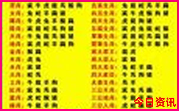 暑假哪里玩比较合适